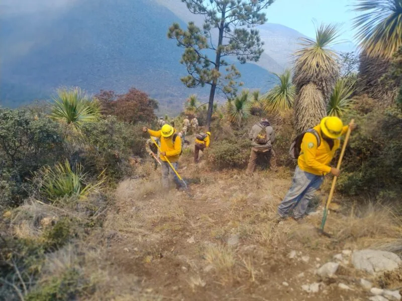 Refuerzan operativo interinstitucional para combatir incendio forestal en Miquihuana