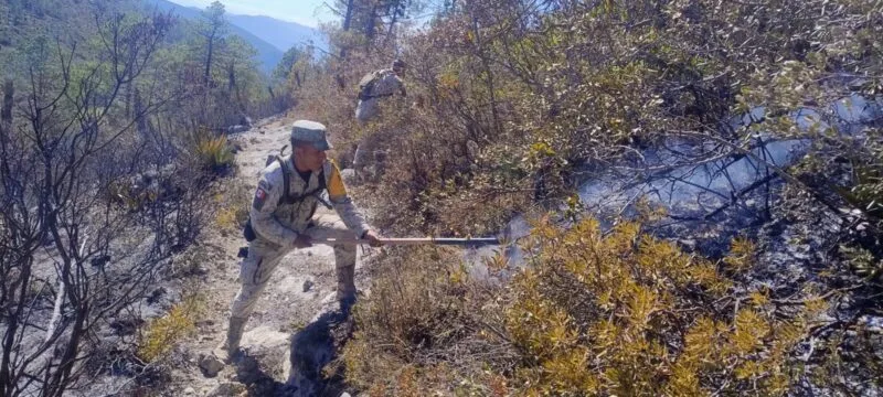 Avanza al 70 % el control del incendio forestal “Puerto del Volcán” en Miquihuana