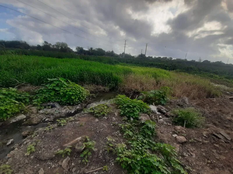 Interviene la PAUT ante presunto relleno de la Laguna Tierra Negra de Madero
