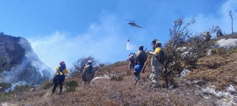 Controlado incendio forestal “Puerto del Volcán” en Miquihuana