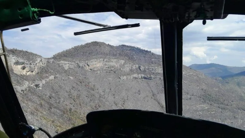 Incendio forestal “Puerto del Volcán”, en Miquihuana es liquidado al 100 %