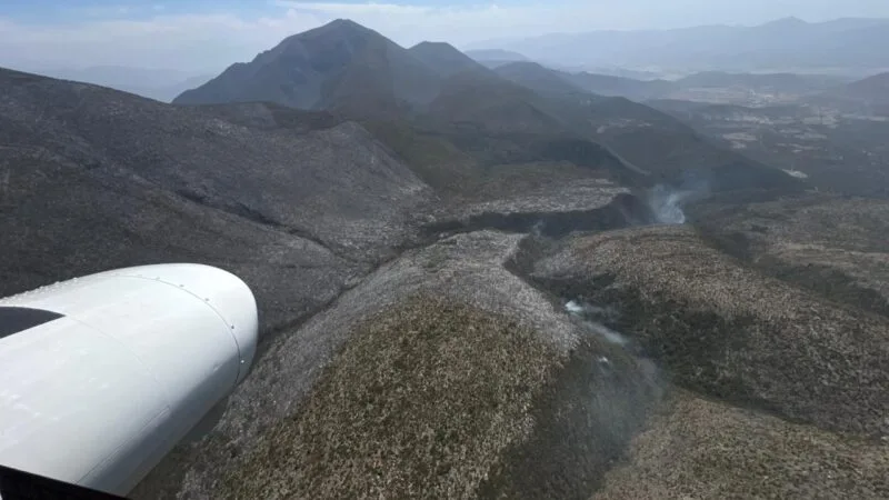 Continúan labores para el control y liquidación de incendio forestal en el Cerro El Tepozán