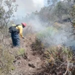 Tamaulipas logra la liquidación total del incendio forestal en Bustamante