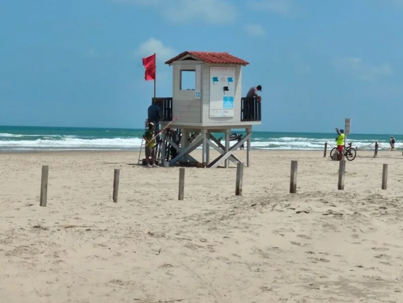 Fortalece Tamaulipas vigilancia ambiental ante presencia de hidrocarburos en costas de la zona sur