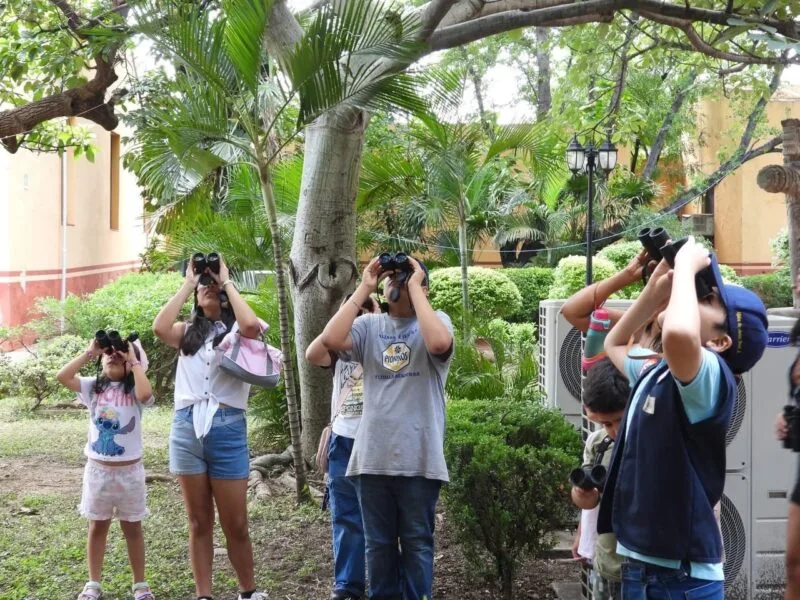 Invitan a jornada de pajareada y exposición fotográfica en el Museo TAMUX