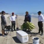 Despliega Tamaulipas acciones coordinadas para mantener limpias las playas