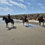 Agrupamiento Montado brinda seguridad y atención en Soto la Marina