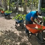 Avanza Nuevo Laredo hacia un entorno más verde y sustentable