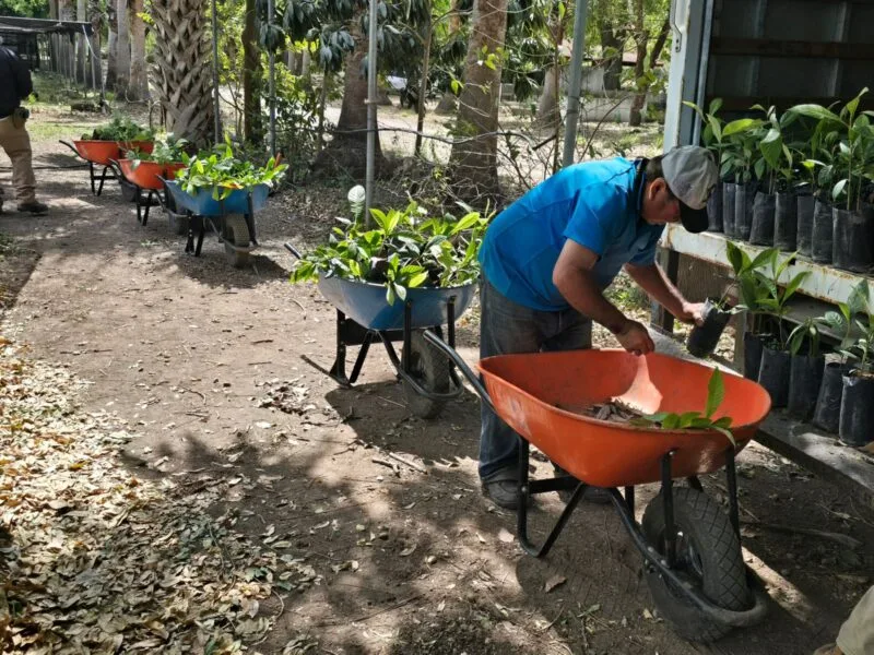 Avanza Nuevo Laredo hacia un entorno más verde y sustentable