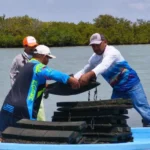 Refuerzan acciones para el crecimiento sostenible del ostión en Aldama