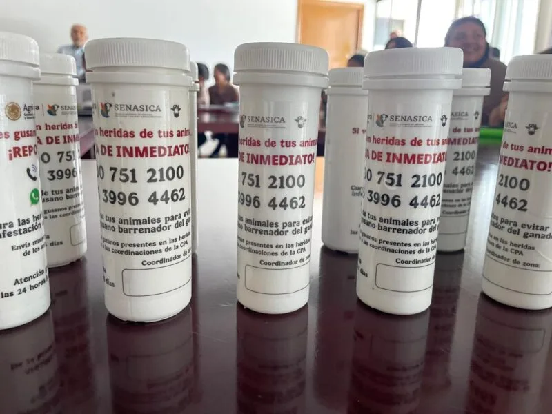 Actualización de extensionistas, clave para detección temprana de la plaga