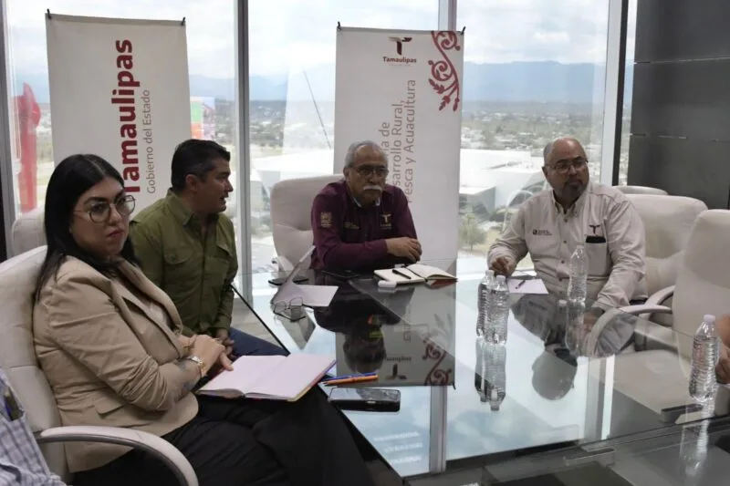 Estructura Tamaulipas proyecto para elevar la producción de carne de calidad