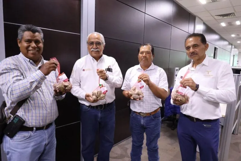 Productores tamaulipecos logran vender al 100% primera cosecha de ostión