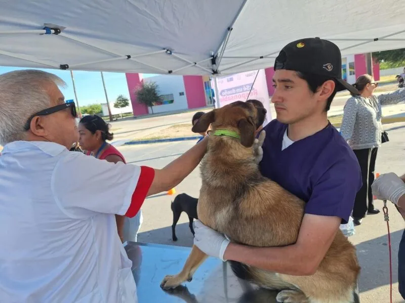 Refuerza Salud campaña de vacunación antirrábica para perros y gatos en todo el estado