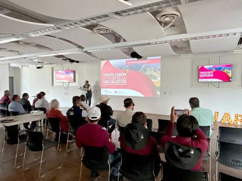 Coordinan estrategia para evitar propagación del gusano barrenador en fauna silvestre