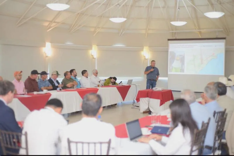 Refuerzan acciones fitosanitarias en beneficio de productores de algodón en Tamaulipas