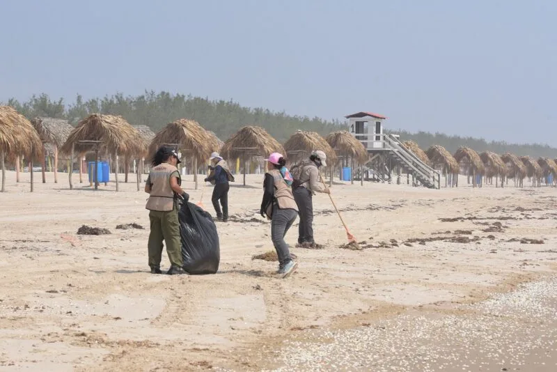 Suma Tamaulipas esfuerzos con la Federación para conservar playas y costas