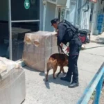 Fortalece Guardia Estatal vigilancia en central de autobuses