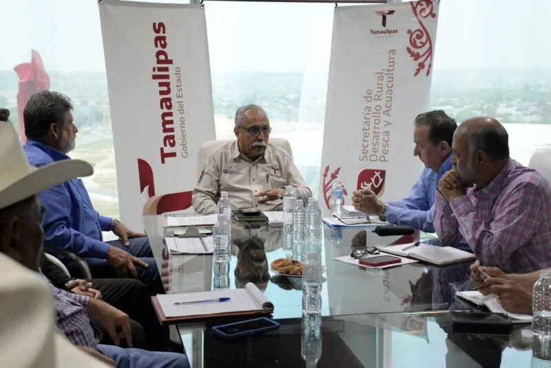 Analizan estrategias para diversificar la producción agrícola en Tamaulipas
