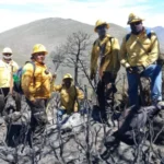 Refuerza Tamaulipas estrategia interinstitucional contra incendios forestales
