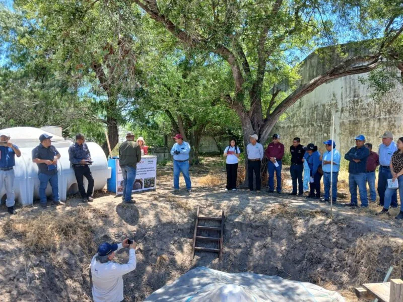 Promueven uso de residuos orgánicos para fortalecer la productividad agrícola