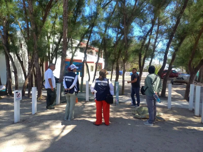 Fortalece Tamaulipas intercambio técnico para la conservación de la tortuga lora