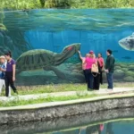 Cumpliendo sueños con turismo social: Sectur