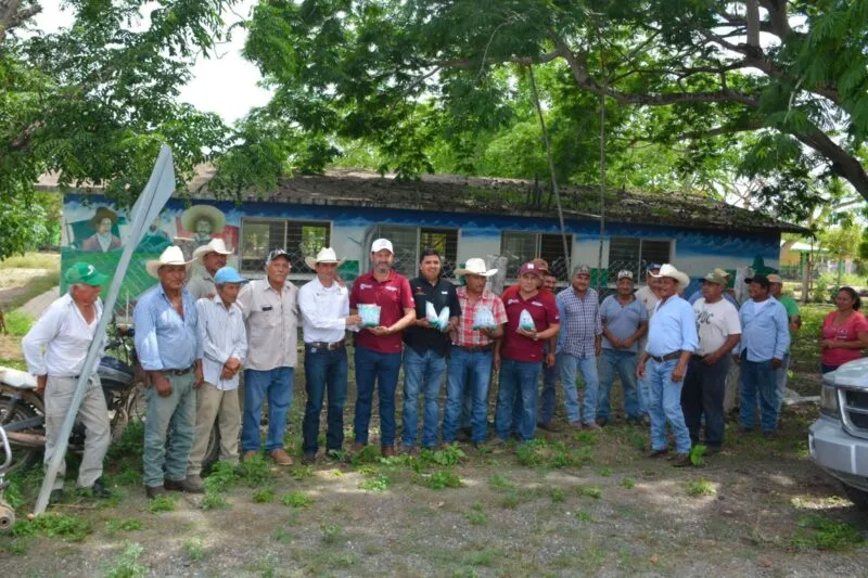 Trabajo coordinado protege a becerros recién nacidos del gusano barrenador
