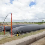 Exploran oportunidades para la producción de bioenergía en González