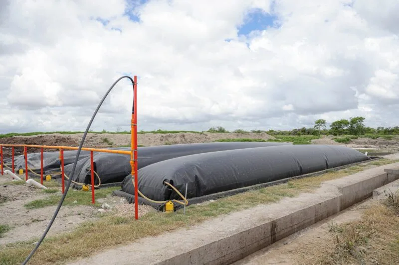 Exploran oportunidades para la producción de bioenergía en González