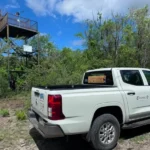 Refuerza Tamaulipas la vigilancia para proteger a la paloma ala blanca