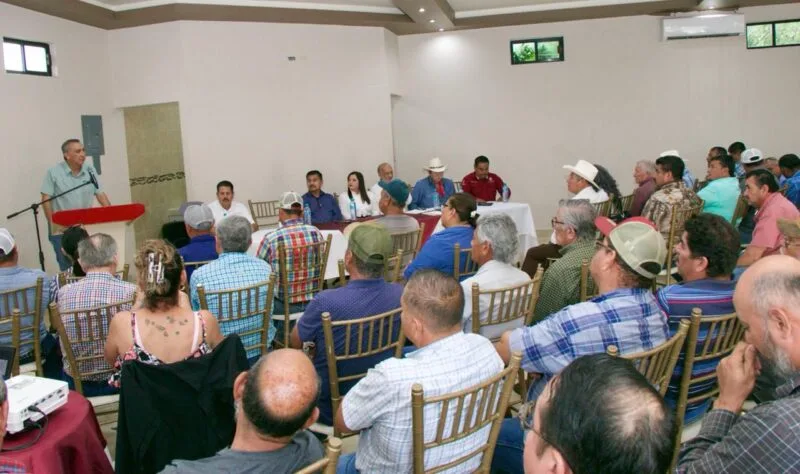 Avanza la expansión del frijol guar en el norte de Tamaulipas