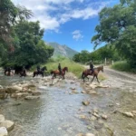 Agrupamiento Montado de la Guardia Estatal refuerza vigilancia en zonas de difícil acceso