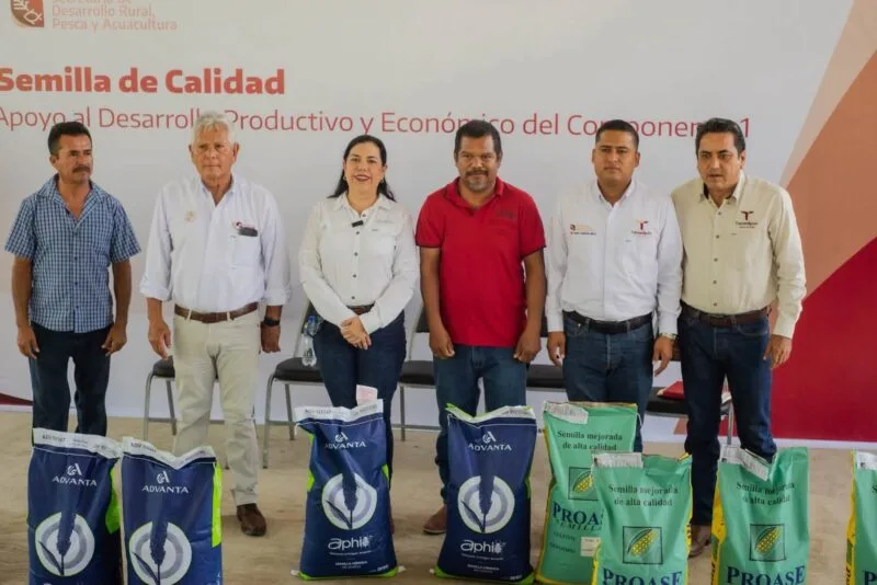 Fortalece Tamaulipas la producción agrícola con apoyos de semilla certificada