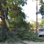 Continúa SEDENER atendiendo reportes por interrupciones del suministro eléctrico mediante Protocolo de Atención ante Contingencias Eléctricas