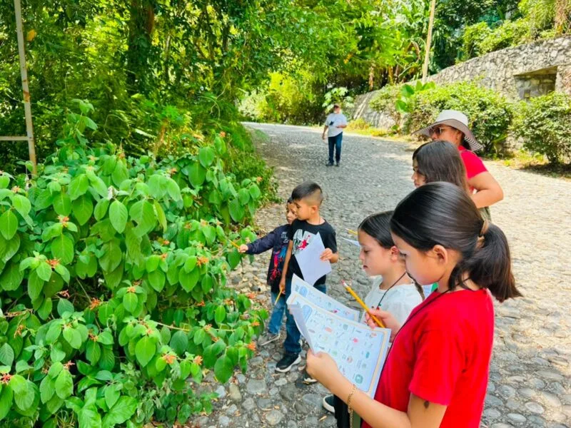 Fortalece Tamaulipas conservación de la Mariposa Monarca con participación en el Blitz Monarca 2026