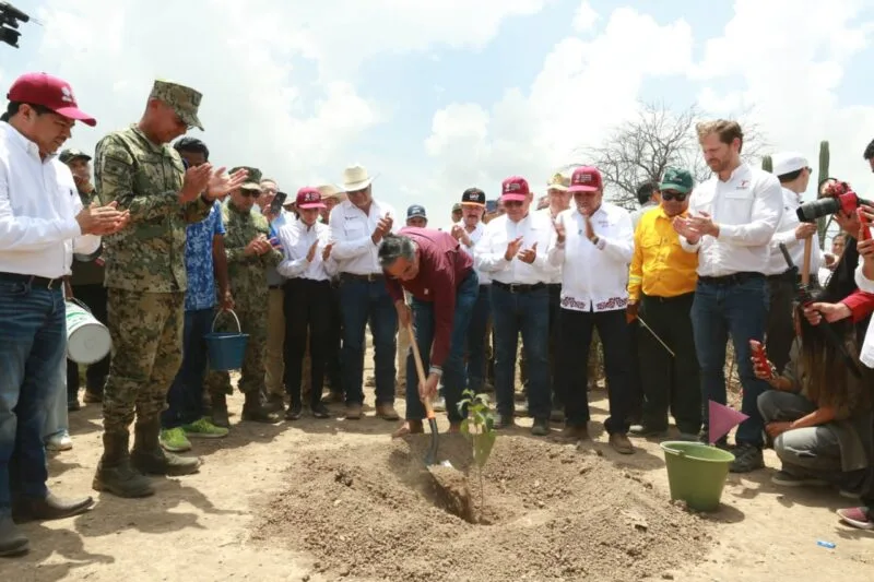 Tamaulipas participa en Jornada Nacional de Reforestación; se plantarán 15 mil árboles: Américo