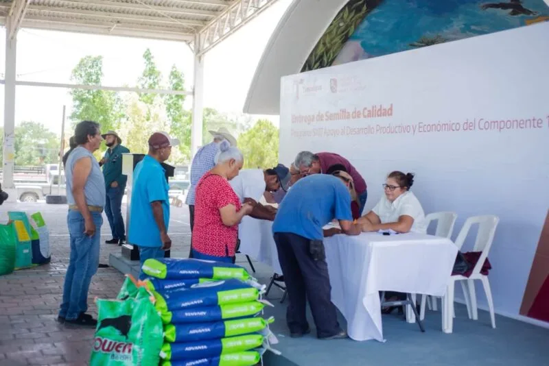 Lleva Tamaulipas respaldo al campo de Abasolo con entrega de semillas