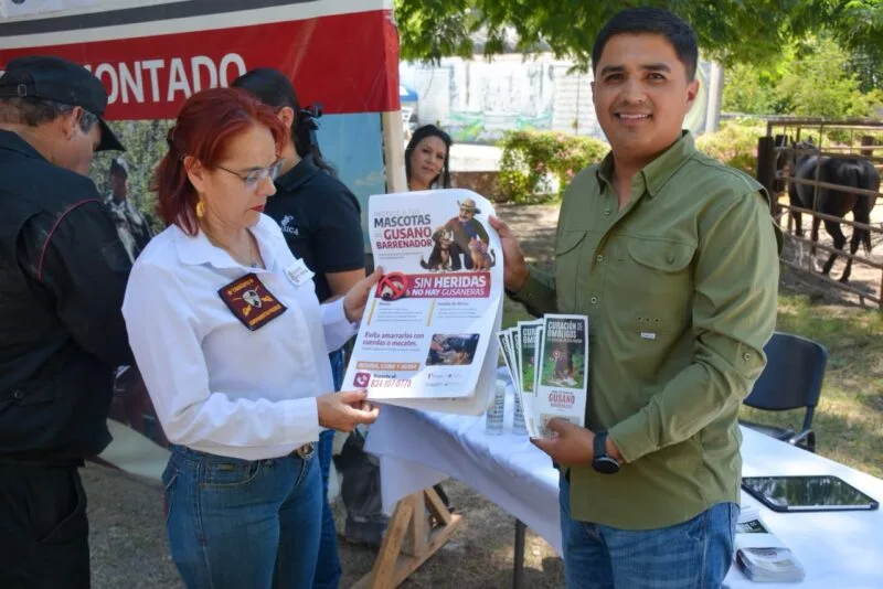 Capacitan a agrupamientos Montado y Canino en prevención del gusano barrenador