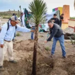 Dialogando.- Jornada Nacional de Reforestación 2026
