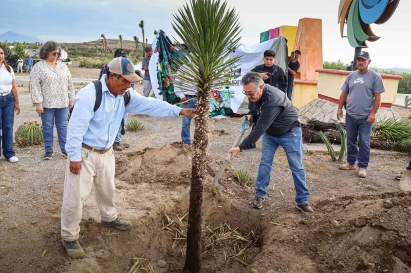 Dialogando.- Jornada Nacional de Reforestación 2026