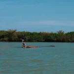 Ciudad Madero y Soto la Marina: dos caras del paraíso costero tamaulipeco