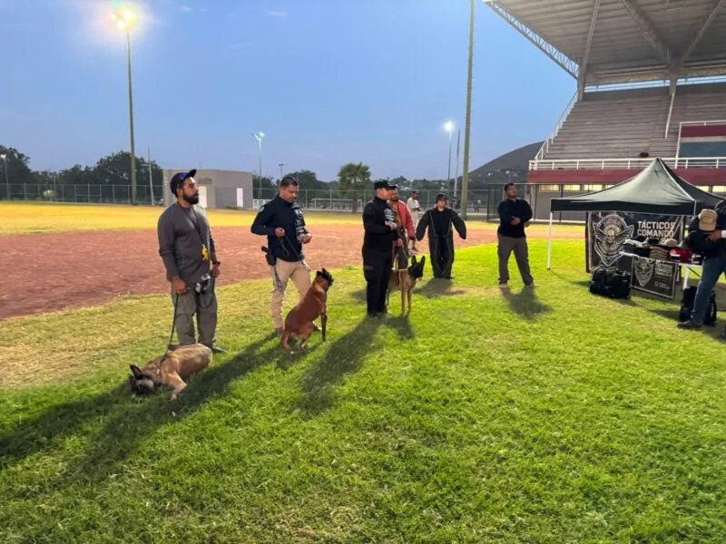 Obtienen binomios K-9 de la Guardia Estatal primeros lugares de su especialidad en certificación canina