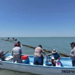 Dan seguimiento técnico al crecimiento de la actividad ostrícola en la Laguna Madre