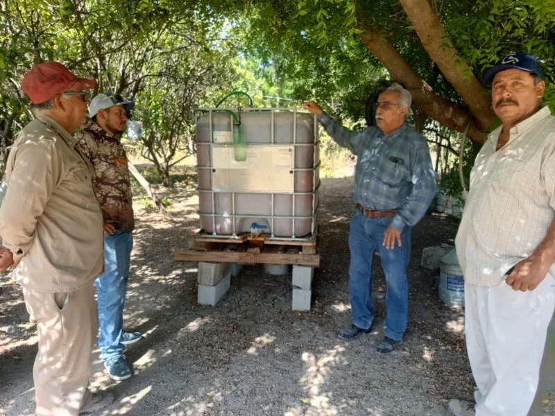 Bioinsumos abren camino a la recuperación de huertas citrícolas en Güémez
