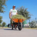 Genera Gobierno de Tamaulipas acciones de transformación a través del Programa Impulsando tu Bienestar