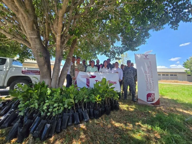 Gobierno de Tamaulipas y SEDENA promueven espacios verdes y sustentables en El Mante