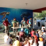 Reciben educación ambiental y conservación de especies niñas, niños y familias en el Campamento Tortuguero de La Pesca