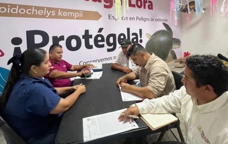 Refuerzan vigilancia y protección de tortugas marinas en campamentos de Tamaulipas
