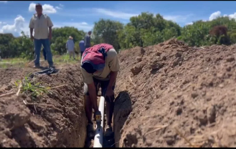 Aplican herramientas técnicas de riego a productores tamaulipecos de la zona citrícola
